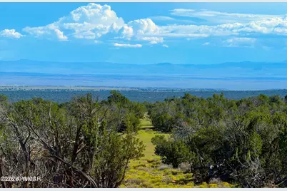 Tbd Co Rd N7480 40 Acres, Saint Johns, AZ 85936 - Photo 15