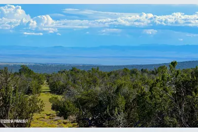 Tbd Co Rd N7480 40 Acres, Saint Johns, AZ 85936 - Photo 11