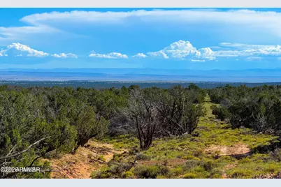 Tbd Co Rd N7480 40 Acres, Saint Johns, AZ 85936 - Photo 13