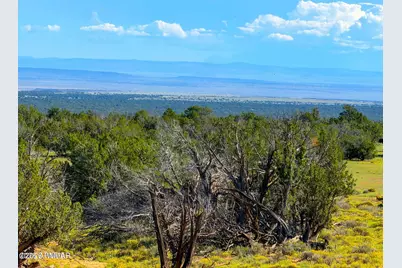 Tbd Co Rd N7480 40 Acres, Saint Johns, AZ 85936 - Photo 9