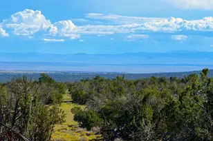 Tbd Co Rd N7480 40 Acres, Saint Johns, AZ 85936 - Photo 1