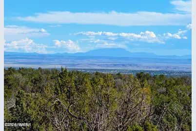 Tbd Co Rd N7480 40 Acres, Saint Johns, AZ 85936 - Photo 3