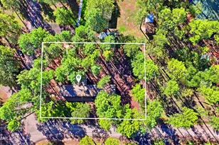 2485 Summer Dr, Lakeside, AZ 85929 - Photo 27
