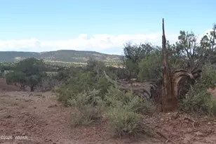 45 N8605, Concho, AZ 85924 - Photo 39