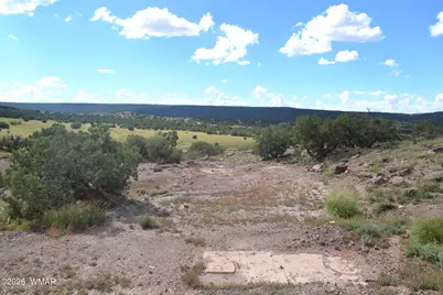45 N8605, Concho, AZ 85924 - Photo 3