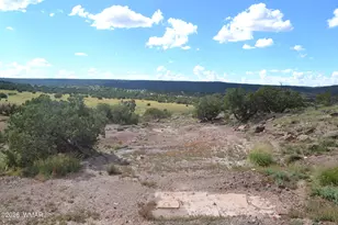 45 N8605, Concho, AZ 85924 - Photo 3