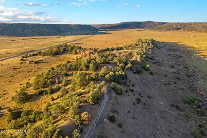 29 N2317, Nutrioso, AZ 85932 - Photo 21