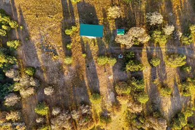 29 N2317, Nutrioso, AZ 85932 - Photo 9