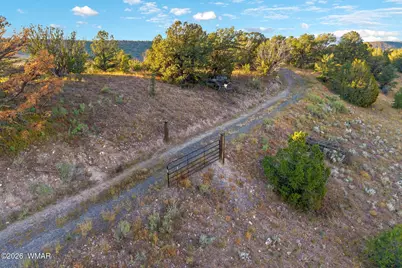 29 N2317, Nutrioso, AZ 85932 - Photo 19