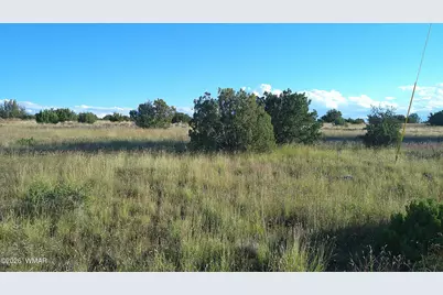 Tbd Concho Valley Lot 48 Drive, Concho, AZ 85924 - Photo 19