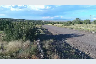 Tbd Concho Valley Lot 48 Drive, Concho, AZ 85924 - Photo 15