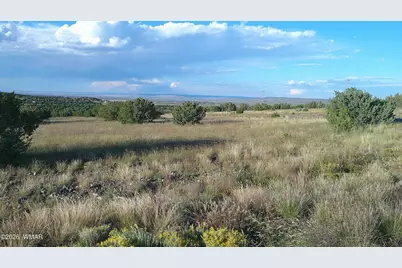 Tbd Concho Valley Lot 48 Drive, Concho, AZ 85924 - Photo 17