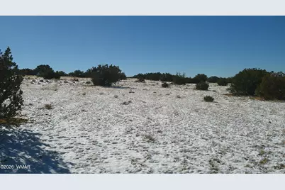 Tbd Concho Valley Lot 48 Drive, Concho, AZ 85924 - Photo 21