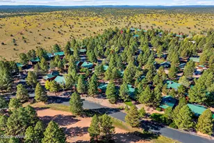 2683 Lodge Loop, Overgaard, AZ 85933 - Photo 33