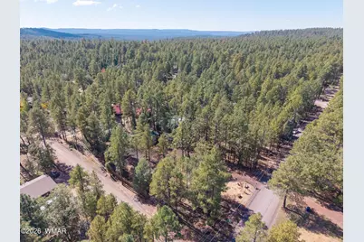 2699 Summer Drive, Lakeside, AZ 85929 - Photo 29