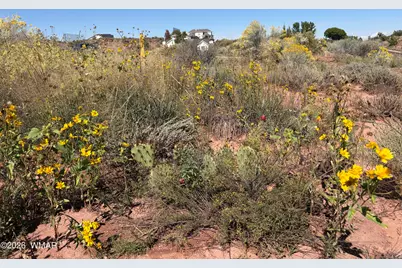 24 S Temple Circle, Snowflake, AZ 85937 - Photo 19