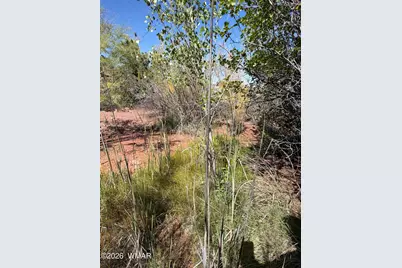 24 S Temple Circle, Snowflake, AZ 85937 - Photo 3
