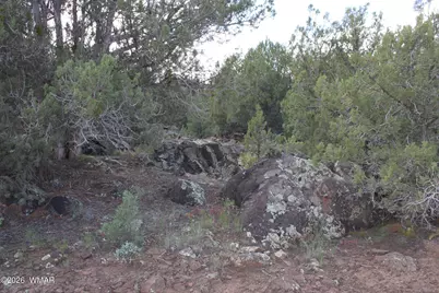 8319 Lone Pine Drive, Show Low, AZ 85901 - Photo 11