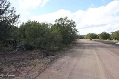 8319 Lone Pine Drive, Show Low, AZ 85901 - Photo 7
