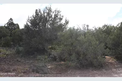 8319 Lone Pine Drive, Show Low, AZ 85901 - Photo 9