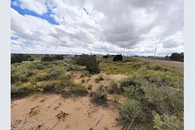 2785 Old Woodruff Road, Snowflake, AZ 85937 - Photo 3