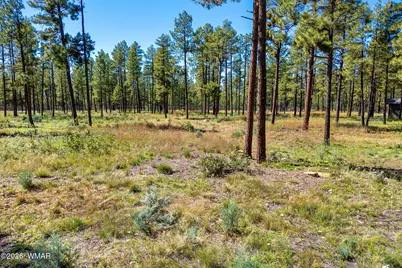 017E Rimspur, Pinetop, AZ 85935 - Photo 7