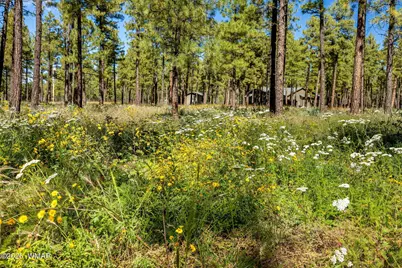 017E Rimspur, Pinetop, AZ 85935 - Photo 3