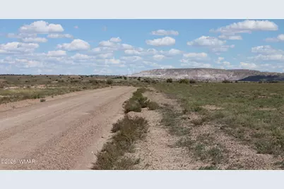 453 Co Rd 5392, Concho, AZ 85924 - Photo 11
