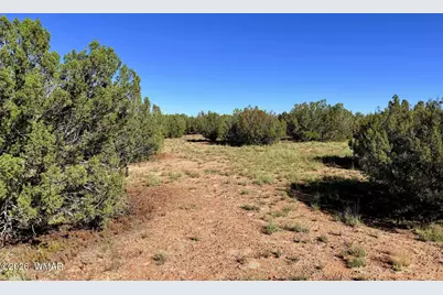 0 Lake Ridge Road, Show Low, AZ 85901 - Photo 27