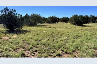 0 Lake Ridge Road, Show Low, AZ 85901 - Photo 29