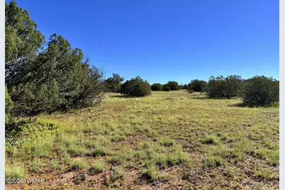 0 Lake Ridge Road, Show Low, AZ 85901 - Photo 21