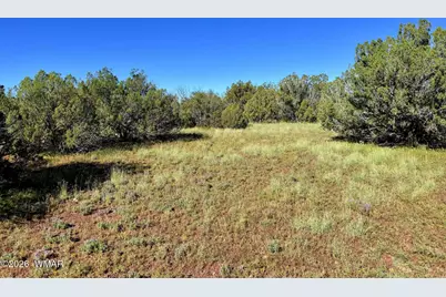 0 Lake Ridge Road, Show Low, AZ 85901 - Photo 19