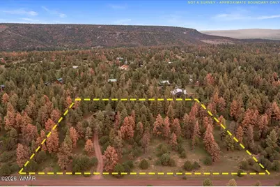 15 County Road 2019, Nutrioso, AZ 85932 - Photo 45