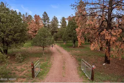 15 County Road 2019, Nutrioso, AZ 85932 - Photo 15