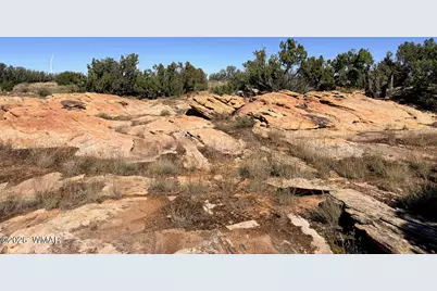 Lot 19 Snowflake Ranches, Snowflake, AZ 85937 - Photo 27