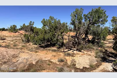 Lot 19 Snowflake Ranches, Snowflake, AZ 85937 - Photo 25