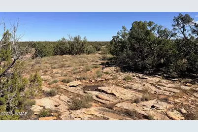 Lot 19 Snowflake Ranches, Snowflake, AZ 85937 - Photo 19