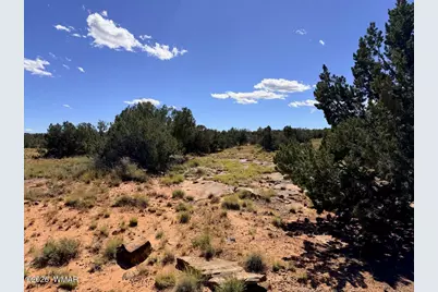 Lot 19 Snowflake Ranches, Snowflake, AZ 85937 - Photo 31