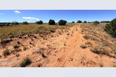 Lot 19 Snowflake Ranches, Snowflake, AZ 85937 - Photo 7