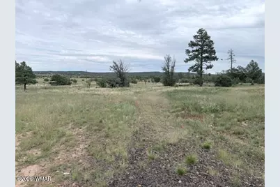 1807 Rocky Lane, Show Low, AZ 85901 - Photo 3