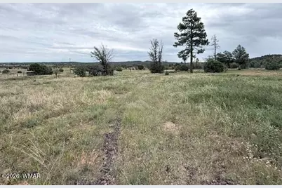 1807 Rocky Lane, Show Low, AZ 85901 - Photo 15
