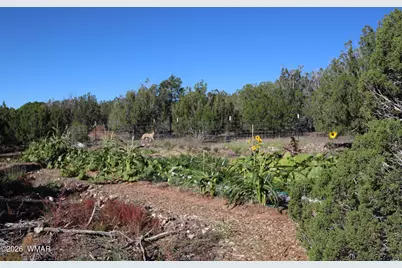 37 N8174, Concho, AZ 85924 - Photo 25