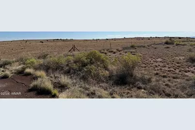 0 Us-180 203-79-009C, Concho, AZ 85924 - Photo 9
