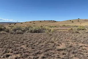 0 Us-180 203-79-009C, Concho, AZ 85924 - Photo 1