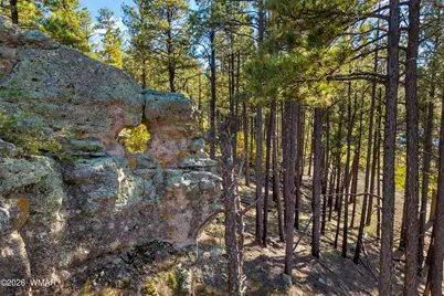 158 County Road 2266, Alpine, AZ 85920 - Photo 5