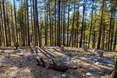 158 County Road 2266, Alpine, AZ 85920 - Photo 9