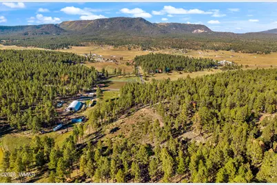 158 County Road 2266, Alpine, AZ 85920 - Photo 19