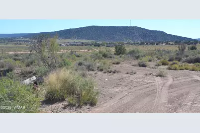 4985 Cedar Hills Road, Snowflake, AZ 85937 - Photo 15