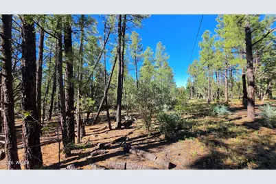 Tbd N Blue Grass Ranch Drive, Lakeside, AZ 85929 - Photo 1
