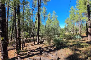 Tbd N Blue Grass Ranch Dr, Lakeside, AZ 85929 - Photo 1